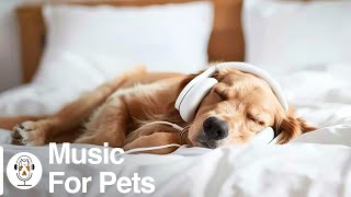 Soothing Music for Dogs to Calm Down, Relax & Sleep | Dog Music Therapy Calming Aid for Relaxation by For Your Pets 1,427 views 7 days ago 4 days