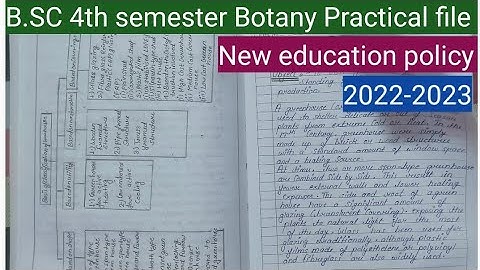 B.SC 4th Semester Botany  Practical File | How To Make Botany Practical File B.SC 4th Semester|