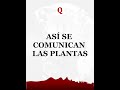 Así se comunican las plantas