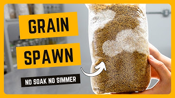 How to Make Grain Spawn Bags for Mushroom Growing