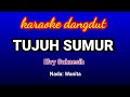 Tujuh Sumur-Elvy Sukaesih Karaoke