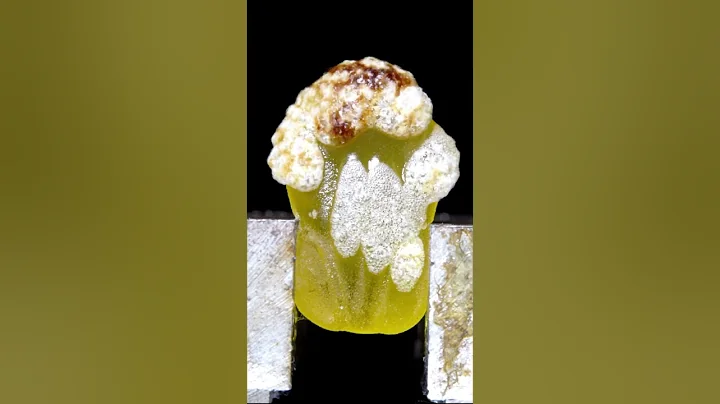 Close-Up Of Burning Marshmallows #asmr #closeup #satisfying #shorts