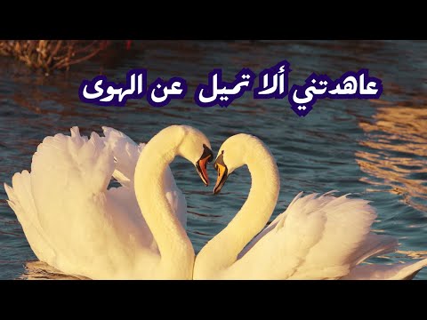 عاهدتني ألا تميل عن الهوى