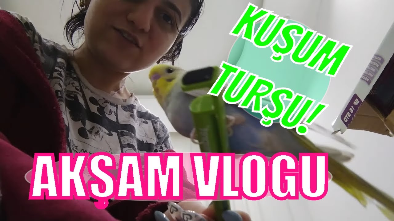 AKŞAM RUTİNİ VLOG | NIGHT ROUTINE - Eşimle sohbet, Temizlik, Saç bakımı, Kuşum Turşu