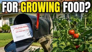 The Real Reason Growing Your Own Food Can Get You Arrested in America