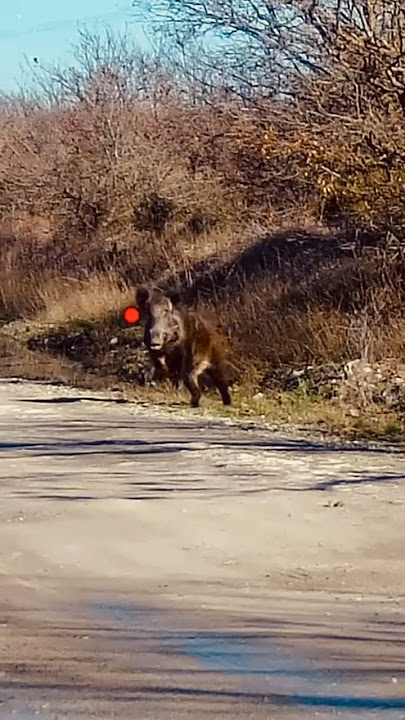 Moskva porno sevishganlar Popa xolaning surati