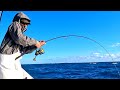 Jig outfished bait commercial fishing mixed bag bottomfish