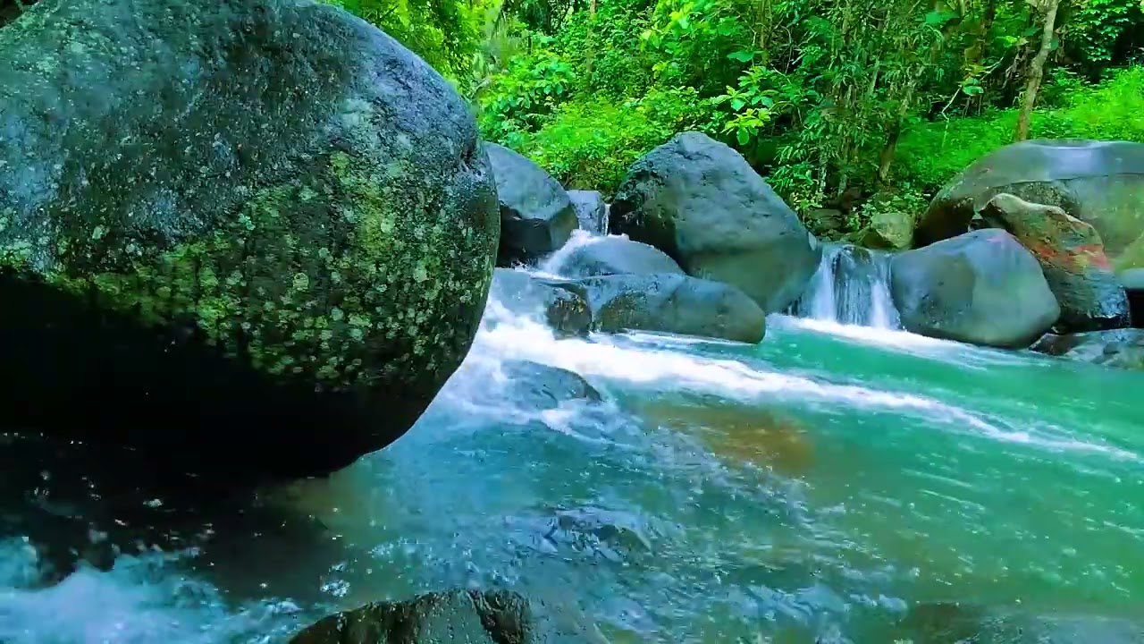 Relaxing Sounds For Sleeping - Tranquil River - Forest Scene For Meditation & Relaxation