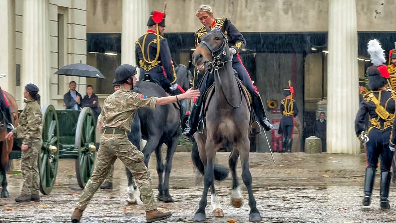 Rare Moment from the King’s Troop Will Leave You Speechless 