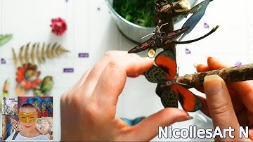 Lantern - Amazonia collection from Stamperia, short presentation