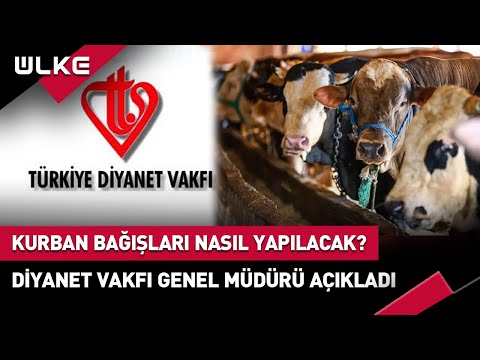 Kurban Bağışları Nasıl Yapılacak? Diyanet Vakfı Genel Müdürü Açıkladı