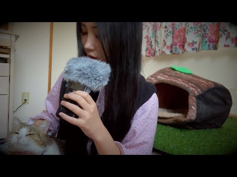 【ASMR🐈】癒し。久しぶりの囁きで💤（whisper voice）