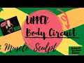 Upper body  muscle sculpt circuit with weights  rebecca tredeau fitness