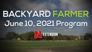 Backyard Farmer June 10, 2021