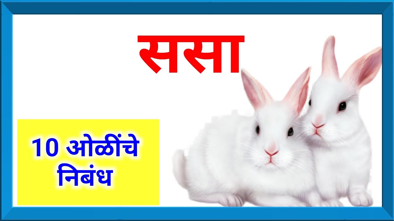 rabbit essay in marathi