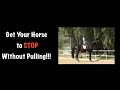 How to STOP Without Pulling on your Horse