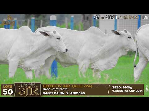 LOTE 50   RJJJ 723   724   660