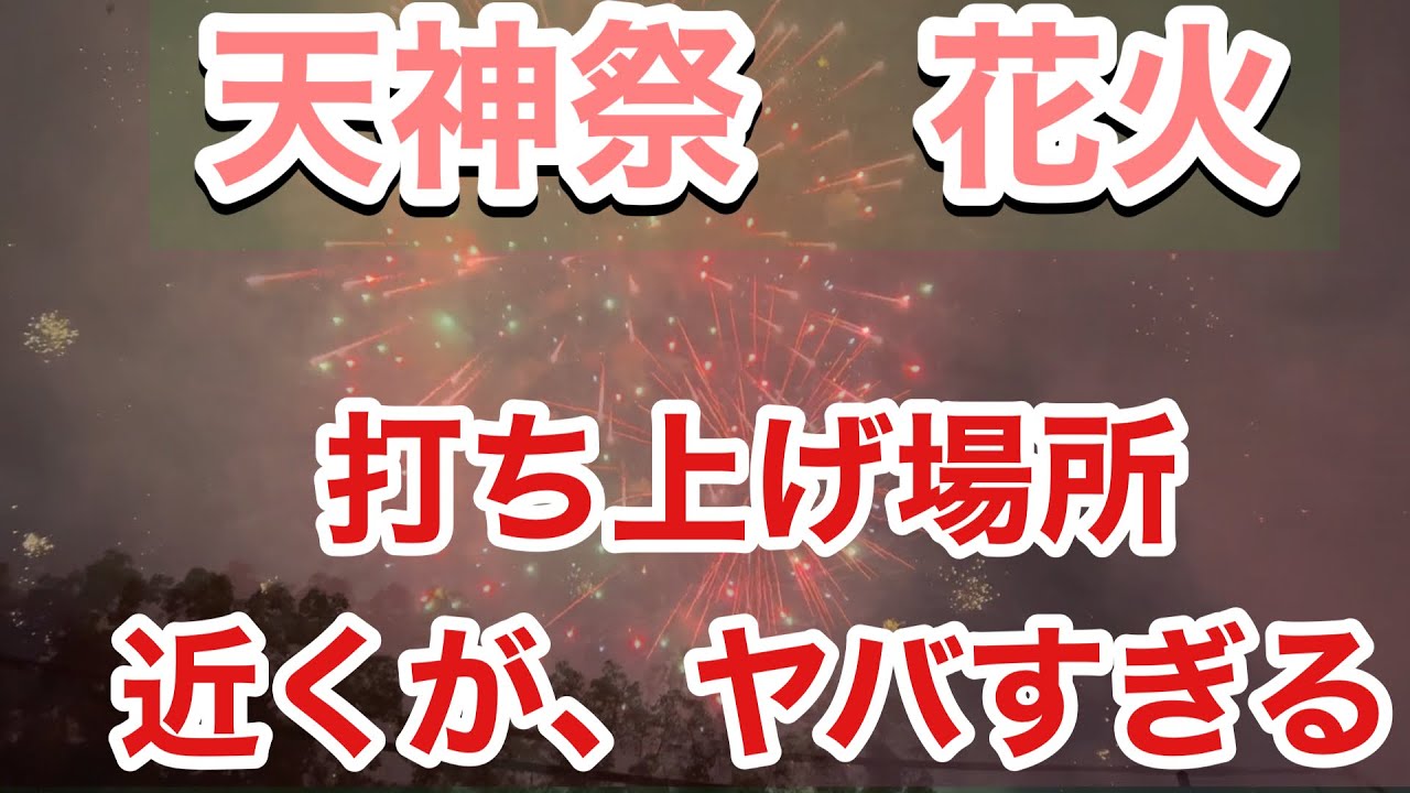 動画を再生