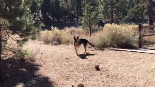 Big Bear Lake Dried up?