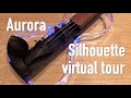 Aurora silhouette virtual tour  electric violin shop