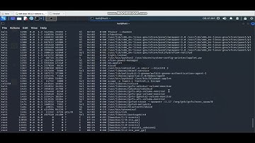Checking Running Process Info in Linux