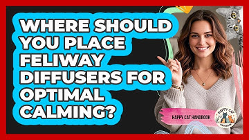 Where Should You Place Feliway Diffusers For Optimal Calming? - Happy Cat Handbook