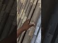 PAZIA NZURI SANA PAZIA NZURI SANA