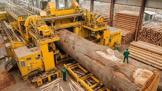 1000 Year Old Trees Meet Modern Monsters (Factory Machines)