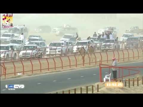 سيوف هجن الشحانية من موسم ٢٠١١ إلى ٢٠١٧