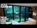 I visit the uk largest home aquarium plus so much more must see jack heatcotes aquariums