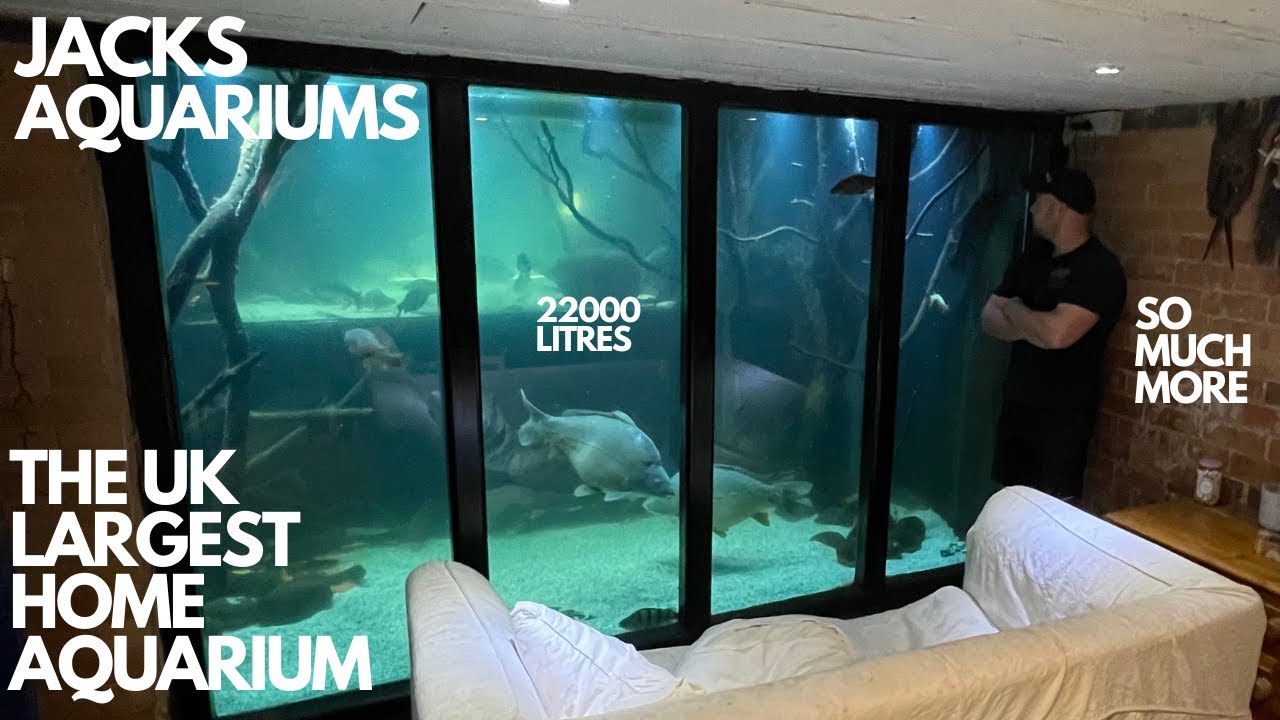 I VISIT THE UK LARGEST HOME AQUARIUM PLUS SO MUCH MORE MUST SEE