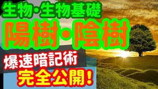 【生物基礎 28】植生【陽樹と陰樹の分類】を宇宙一わかりやすく