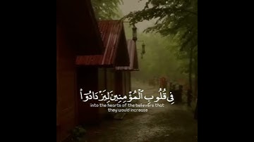 تلاوة هادئة تريح الأعصاب 😴🎧 | القاريء عبدالرحمن مسعد - سورة الفتح 🤍🌥️."