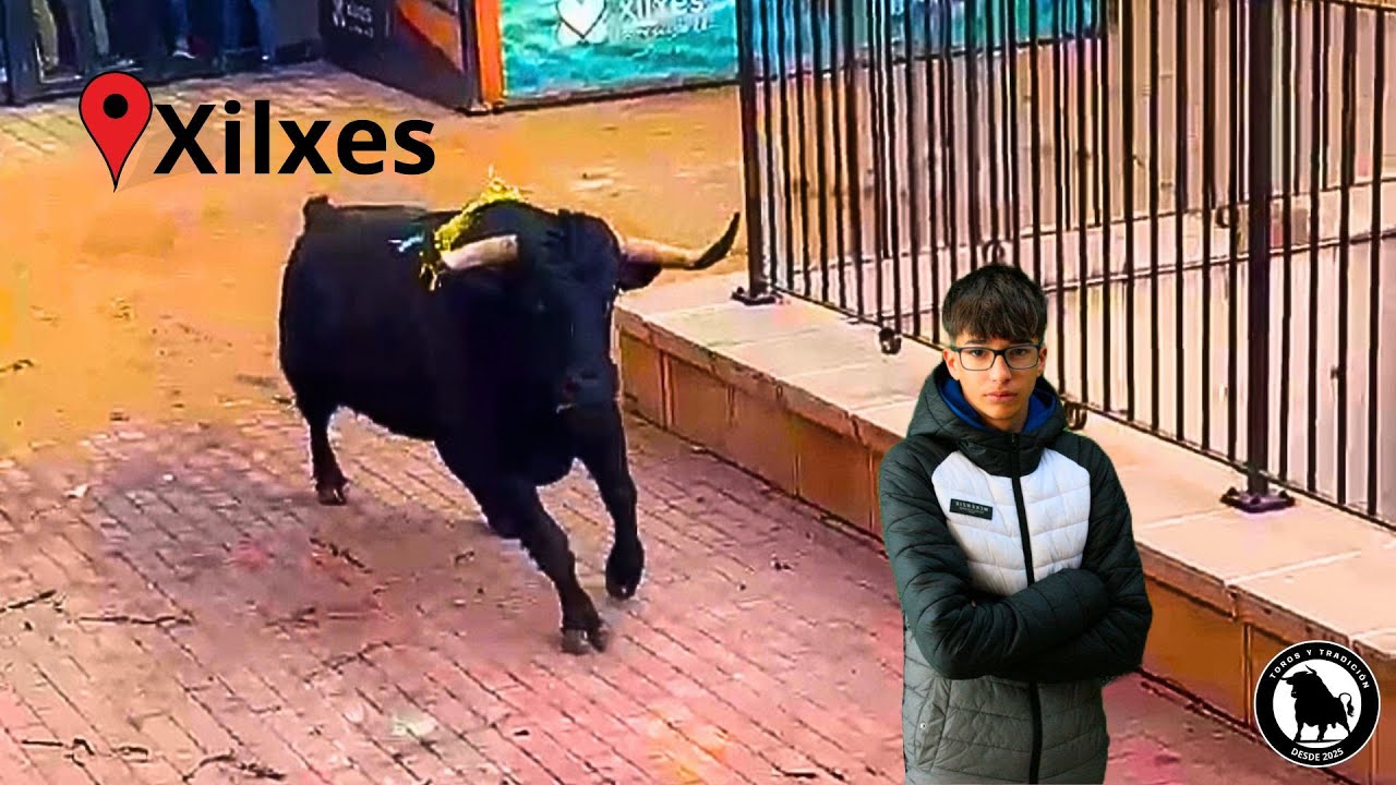 Toros Xilxes!! Tarde con 2 cerriles con SUSTO!! 17-01-2026