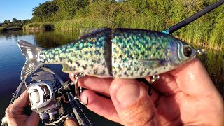 Fishing A Crappie Glide Bait For River Smallmouth!