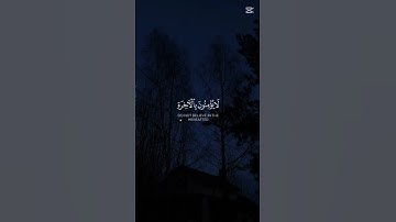 اكتب شيء تؤجر عليه ❤🎧😴 #صوت_جميل #اكسبلور #تلاوة_خاشعة #قرآن #المصحف #راحة_نفسية #لايك