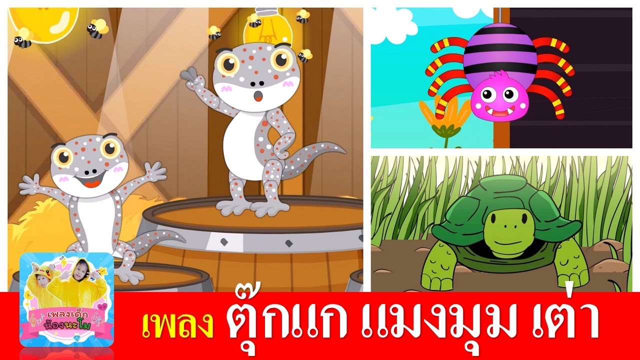 เพลงเด็กอนุบาล ตุ๊กแก แมงมุม เต่า | ตุ๊กแก | แมงมุมลายตัวนั้น | เต่าเอ๋ยเต่า เต่ามันมีสี่ขา