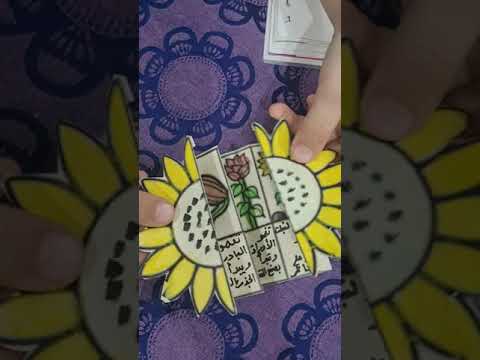 دورة حياة النبات الثالث الابتدائي