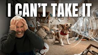 The unfixable Barking Dogs Cesar Millan Rehabilitated