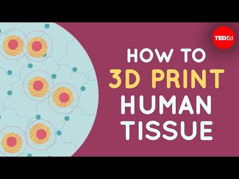 Video: Models Of Organs With Living Cells Were Printed Simultaneously Throughout The Entire Volume