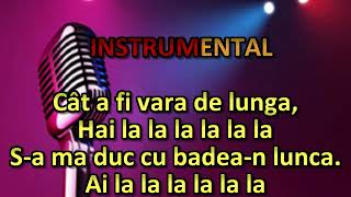 De-ar veni primavara ,karaoke