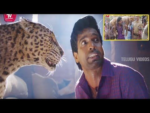 Sivakarthikeyan And Soori