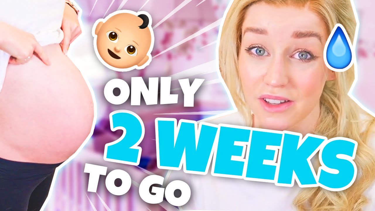 2 Weeks Pregnant