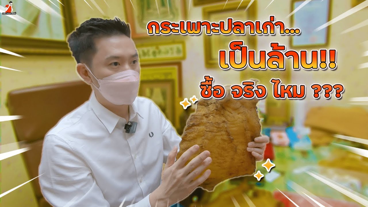 Fish Maw Price In A Fish Maw Price In A