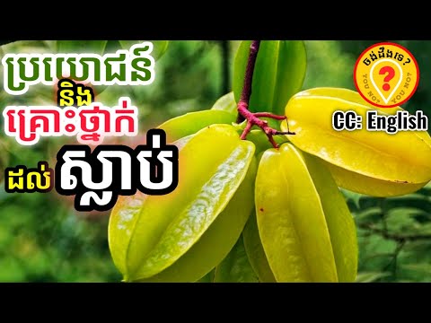 Advantages of Star fruit for human health អត្ថប្រយោជន៍ផ្លែស្ពឺចំពោះសុខភាព 1080p