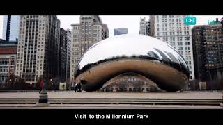 Cheap Flights To Chicago from Dallas | Cheapest Month To Fly To Chicago
