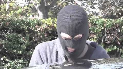 Terii Ant-theft System