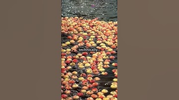 Why Do Apples Float? 🍏🤯 #Apples #ScienceFacts #MindBlowing #FunLearning #Float #AirInsideFruit