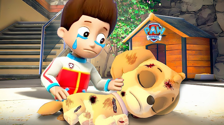 O RYDER MATOU a SKYE no GTA 5 ? (PATRULHA CANINA)
