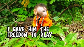 I gave him the freedom to play, Lovely Fauna Youtube Channel